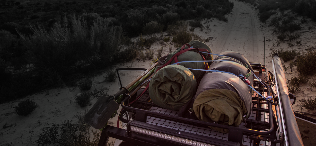 Kruger National Park Tours